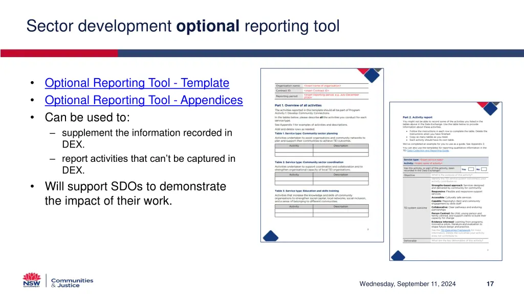 sector development optional reporting tool