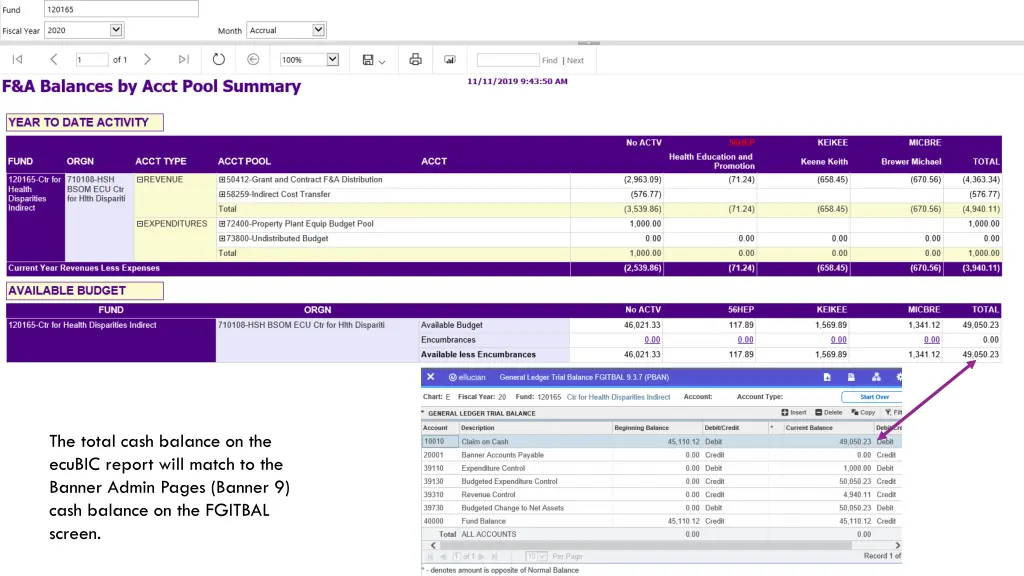 the total cash balance on the ecubic report will