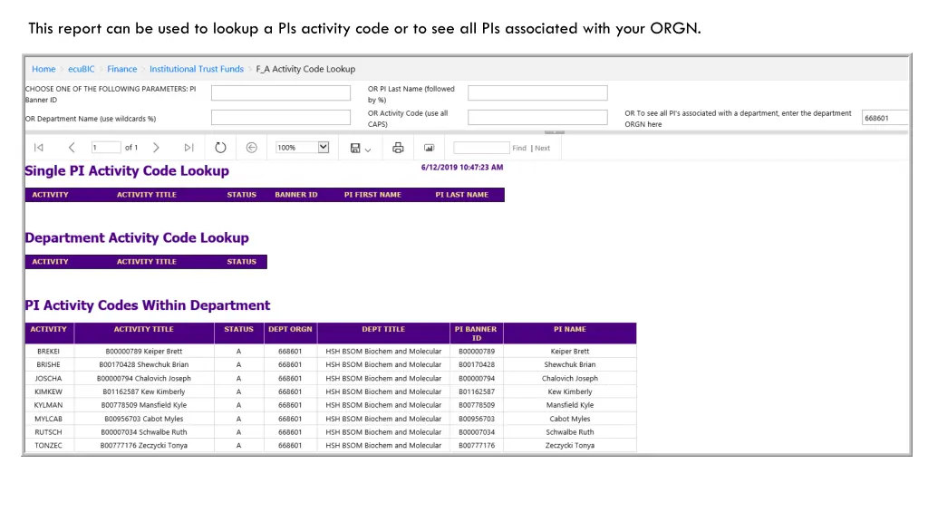 this report can be used to lookup a pis activity