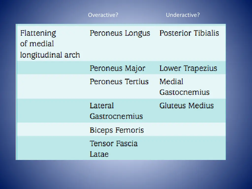 overactive underactive 2