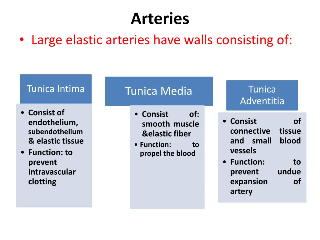 arteries