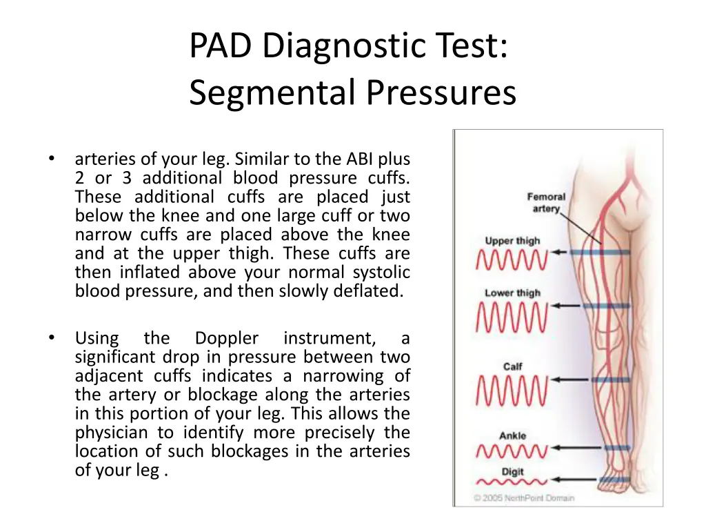 pad diagnostic test segmental pressures