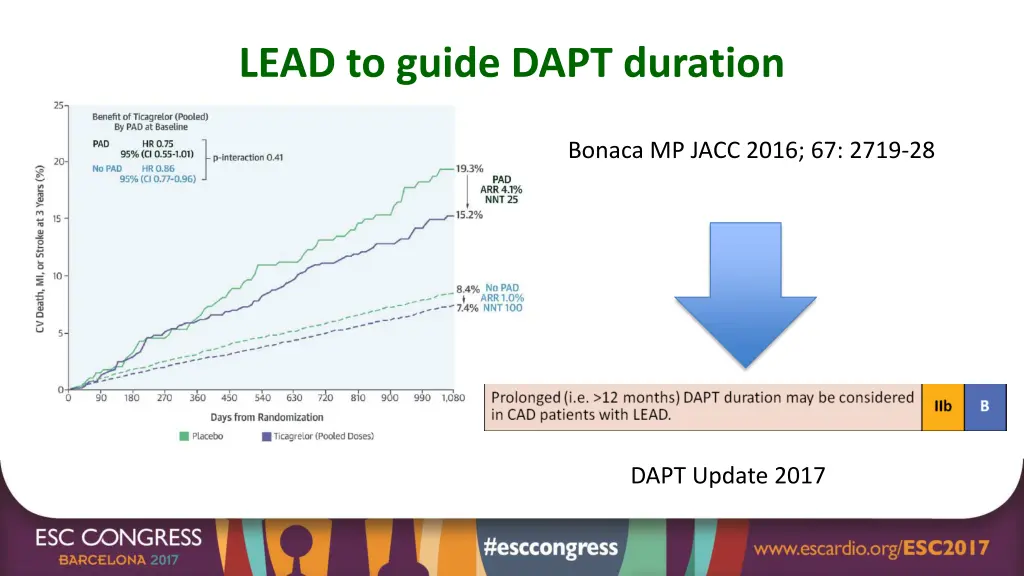 lead to guide dapt duration