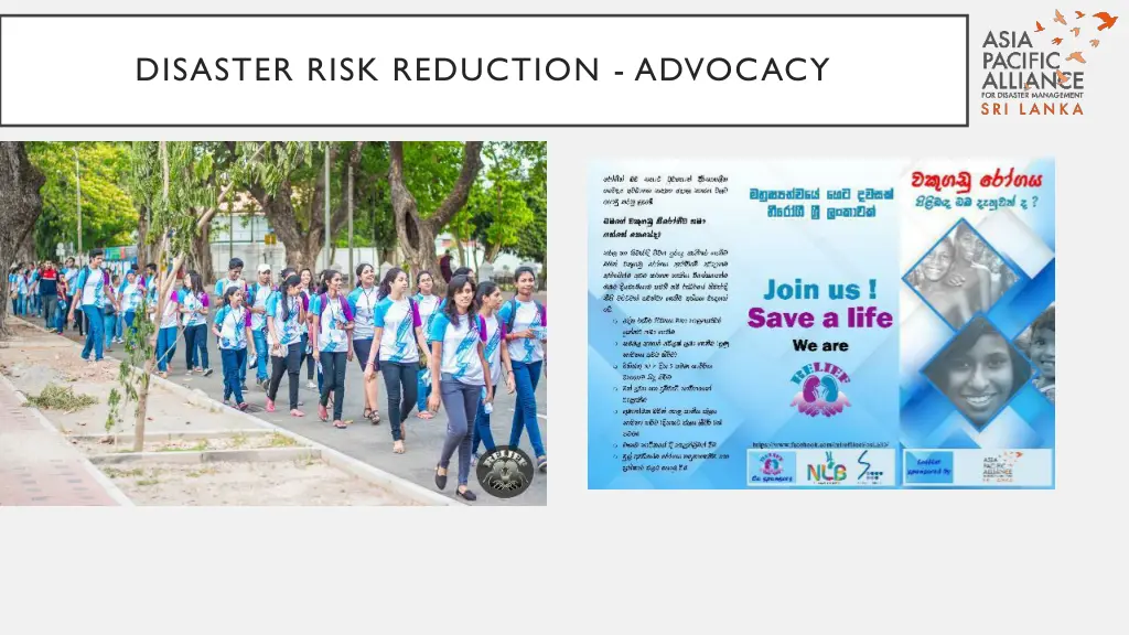 disaster risk reduction advocacy