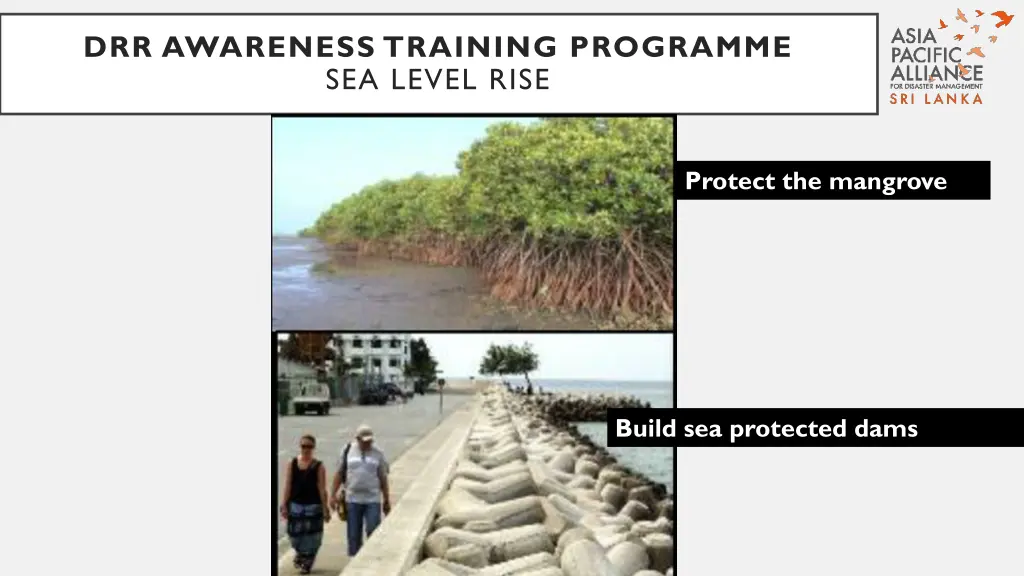 drr awareness training programme sea level rise