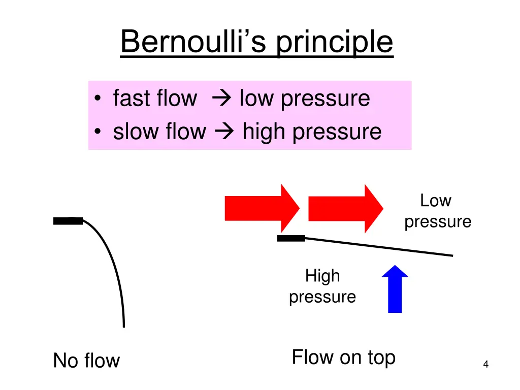 bernoulli s principle