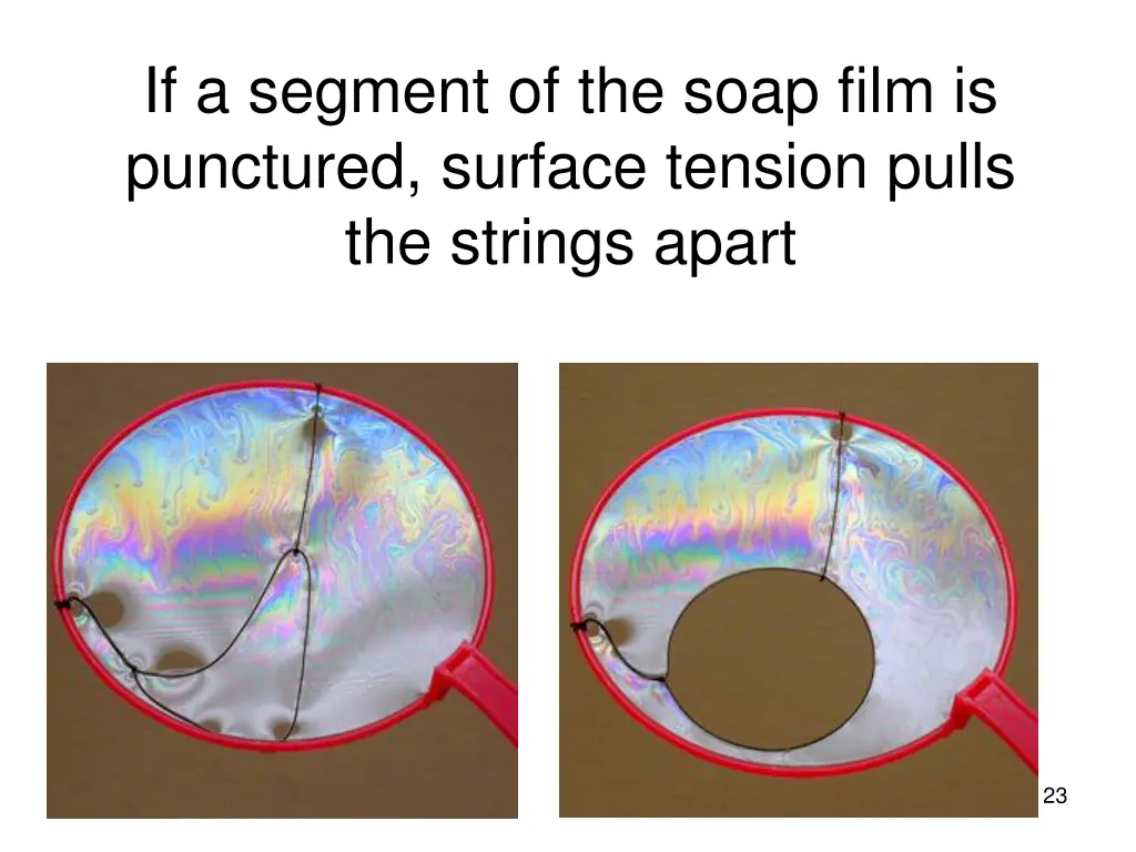 if a segment of the soap film is punctured