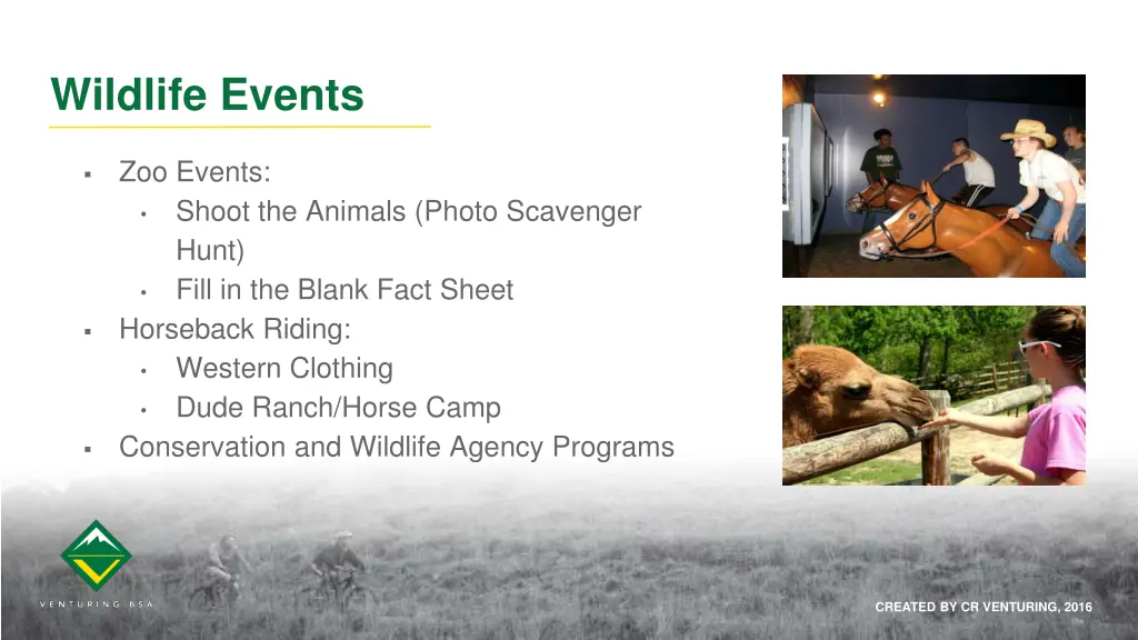 wildlife events