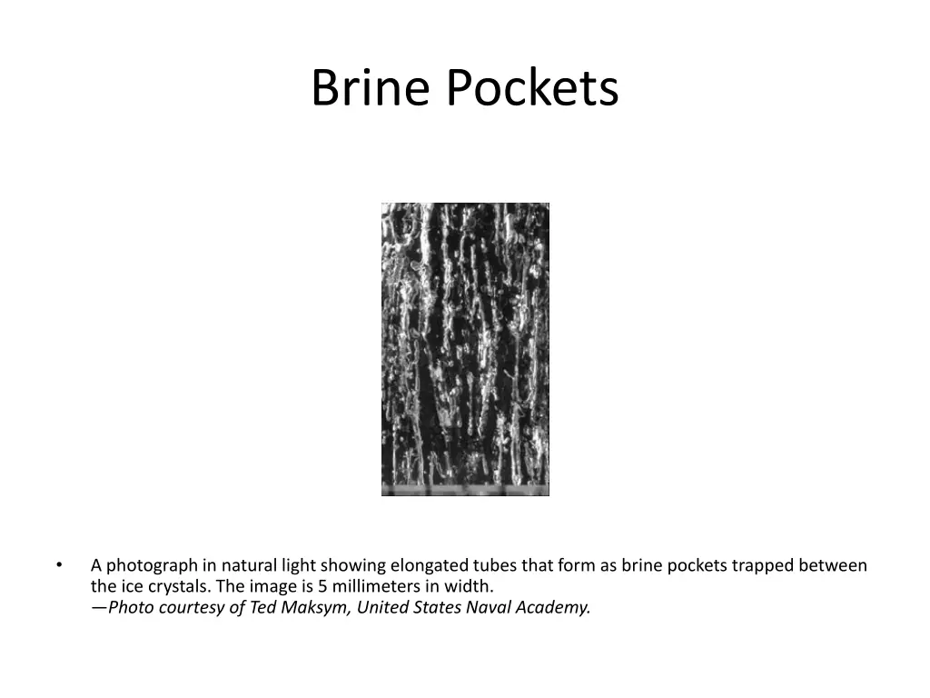 brine pockets