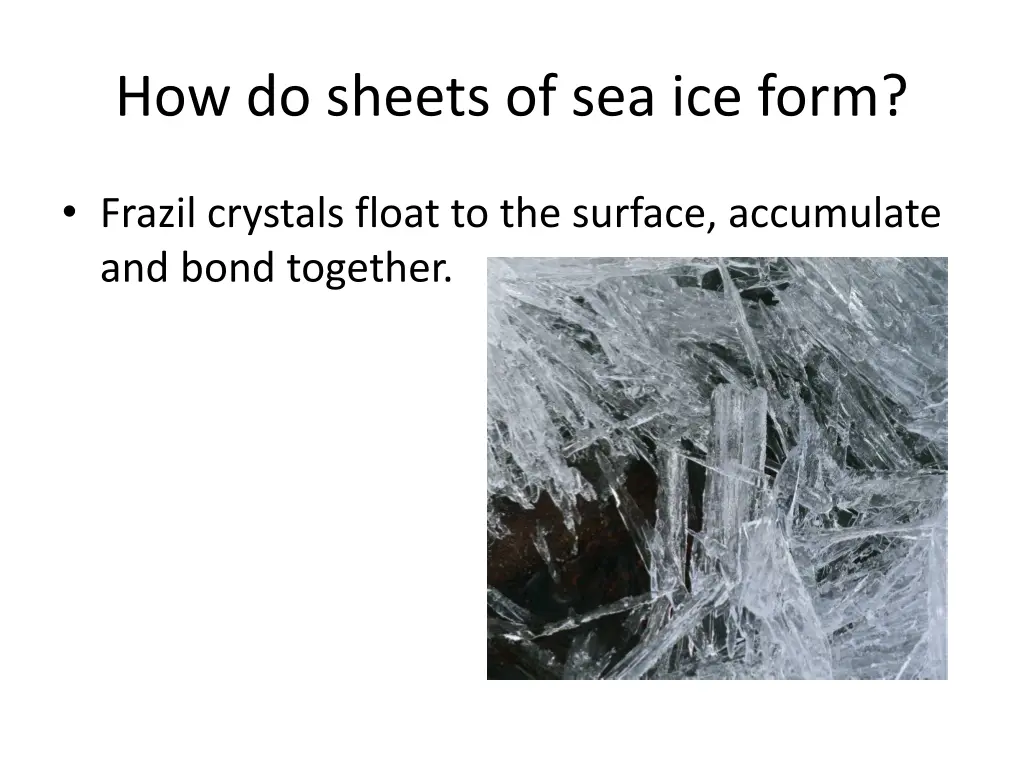 how do sheets of sea ice form