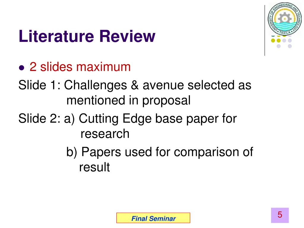 literature review