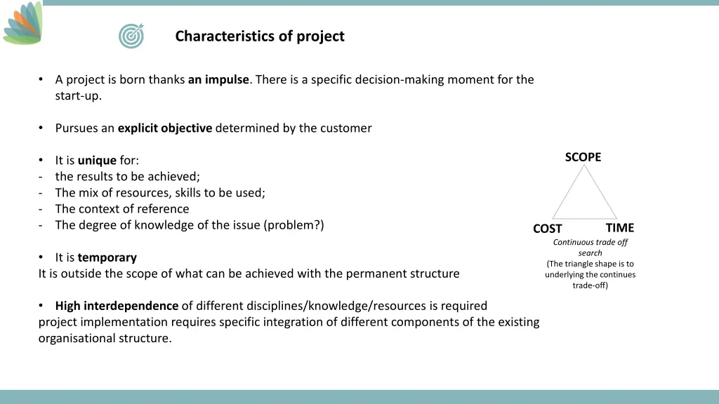 characteristics of project