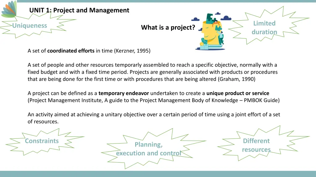 unit 1 project and management