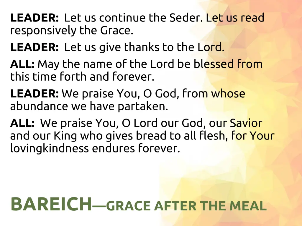 leader let us continue the seder let us read