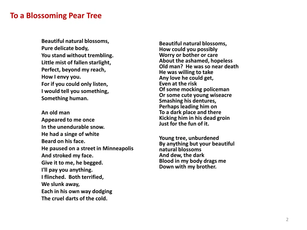 to a blossoming pear tree