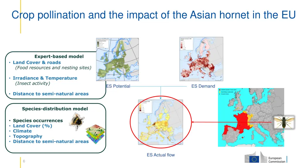 crop pollination and the impact of the asian