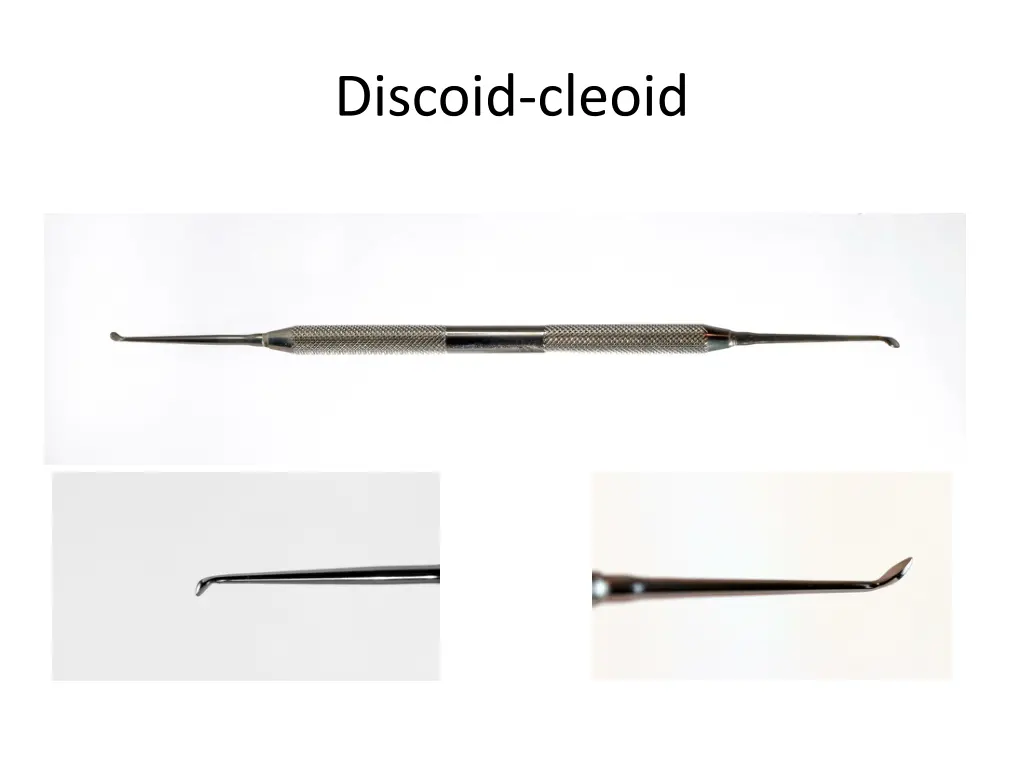 discoid cleoid