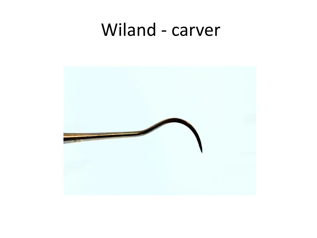 wiland carver