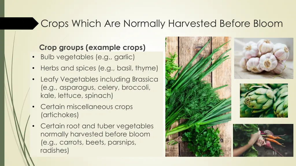 crops which are normally harvested before bloom