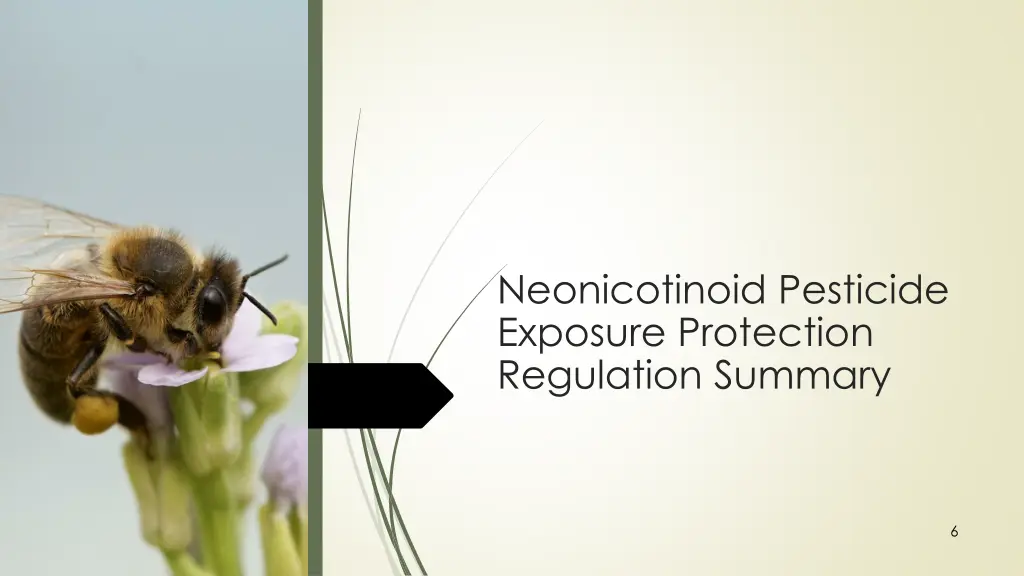 neonicotinoid pesticide exposure protection