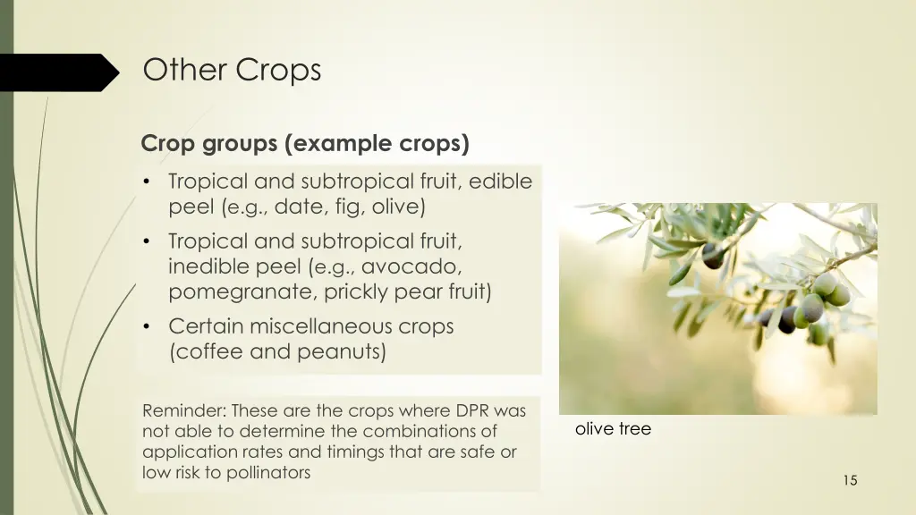 other crops