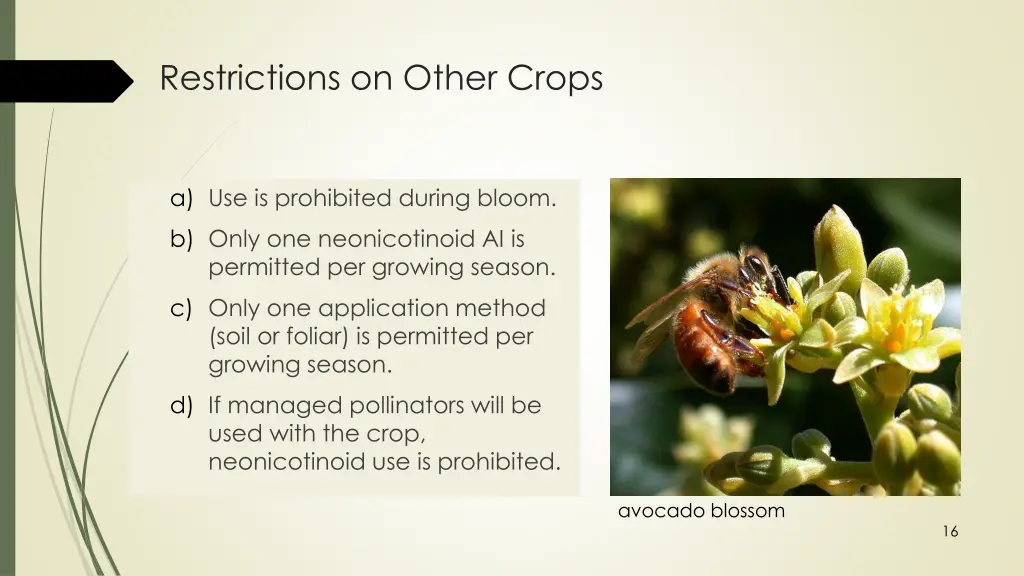 restrictions on other crops