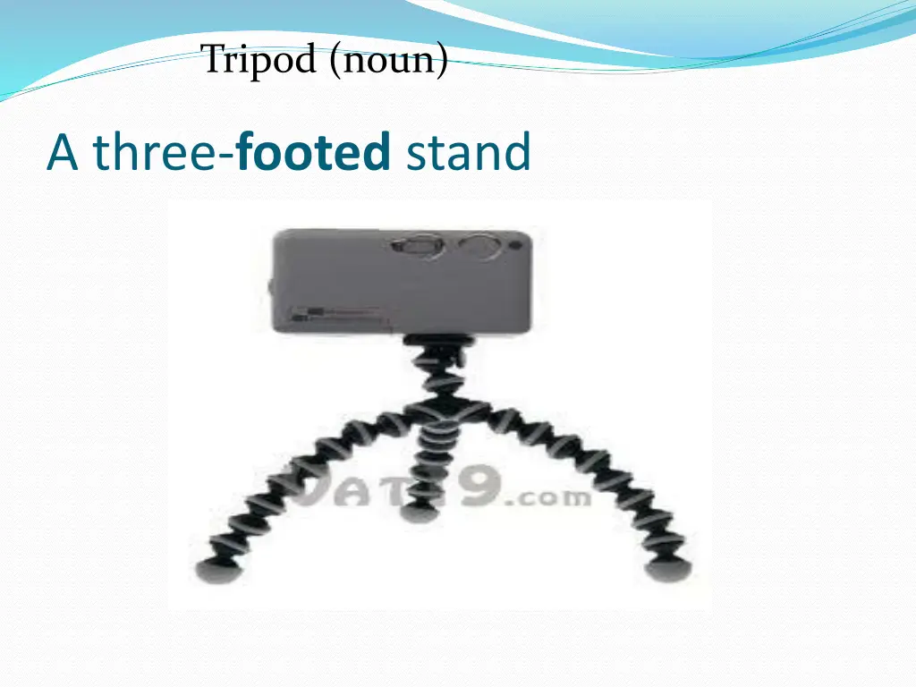 tripod noun