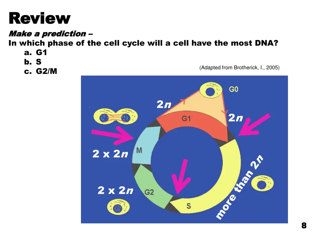 review review make a prediction make a prediction