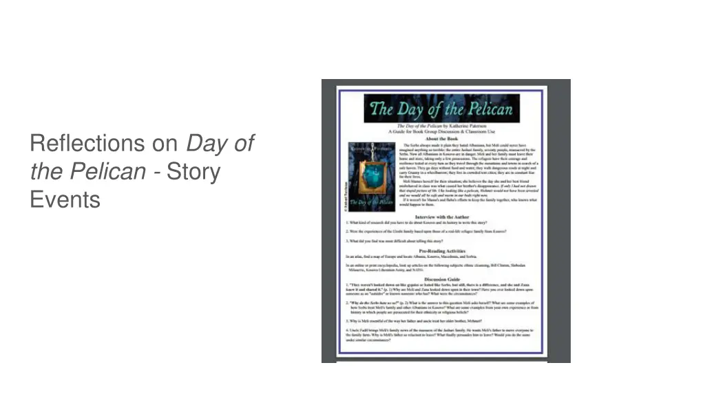 reflections on day of the pelican story events