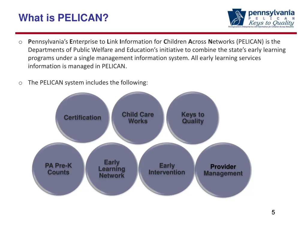 what is pelican