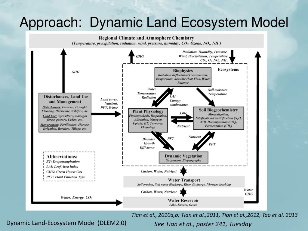 approach dynamic land ecosystem model