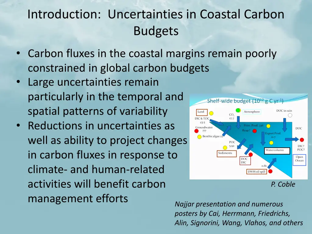 introduction uncertainties in coastal carbon