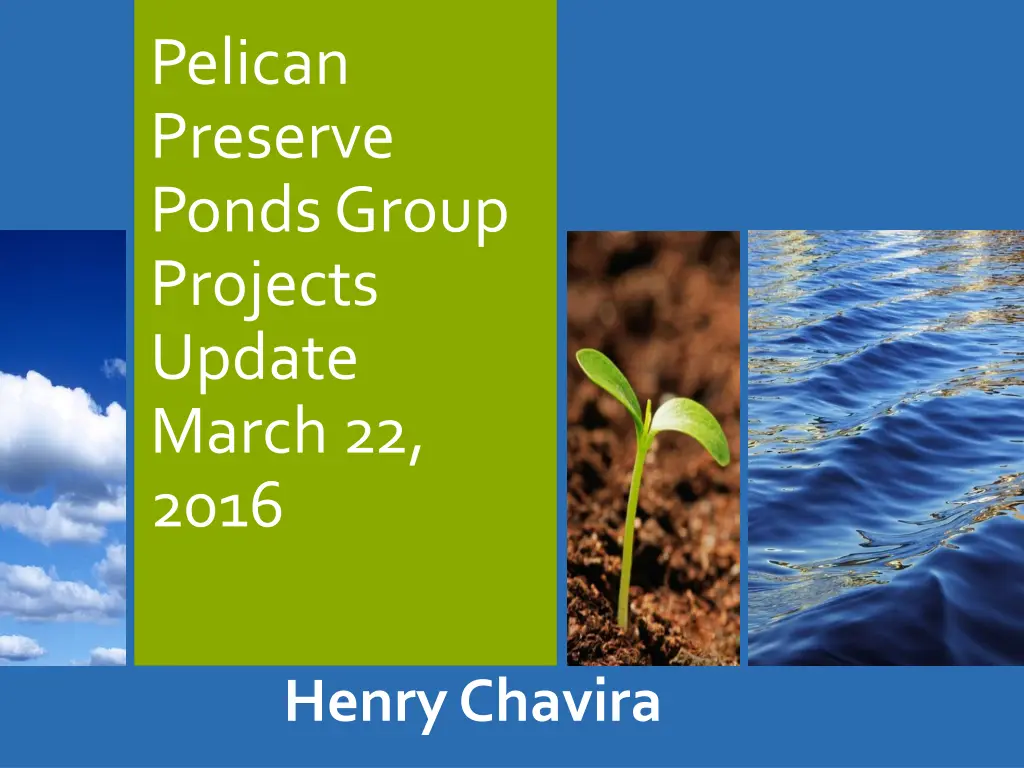 pelican preserve ponds group projects update