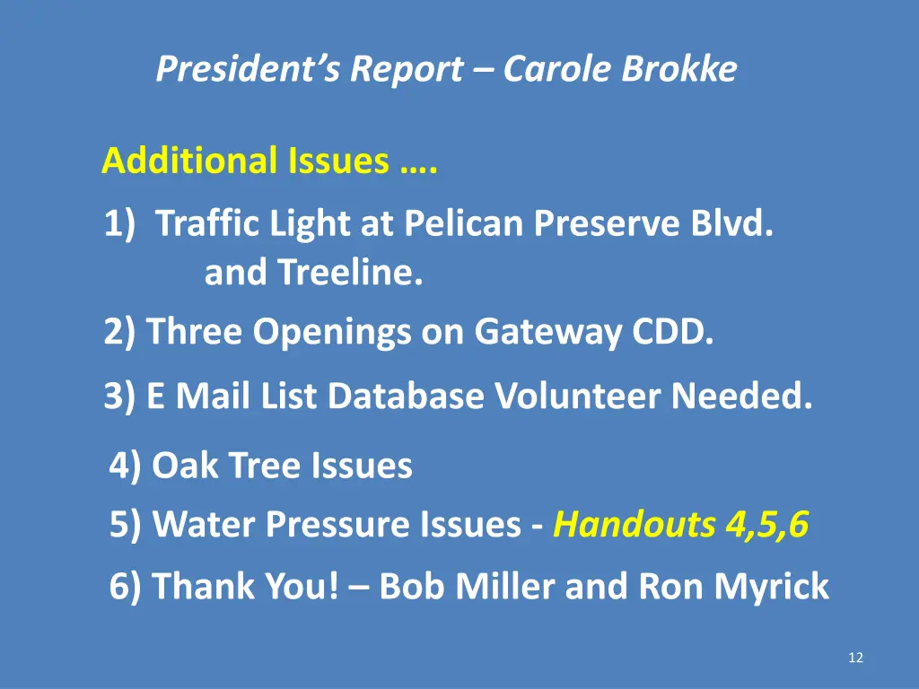 president s report carole brokke 2