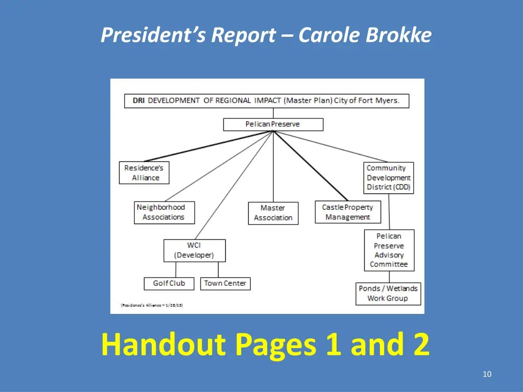 president s report carole brokke