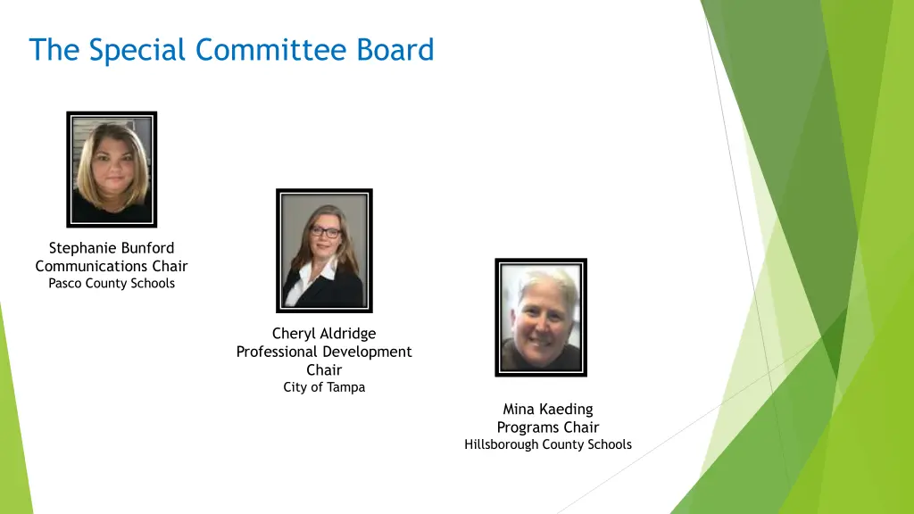 the special committee board