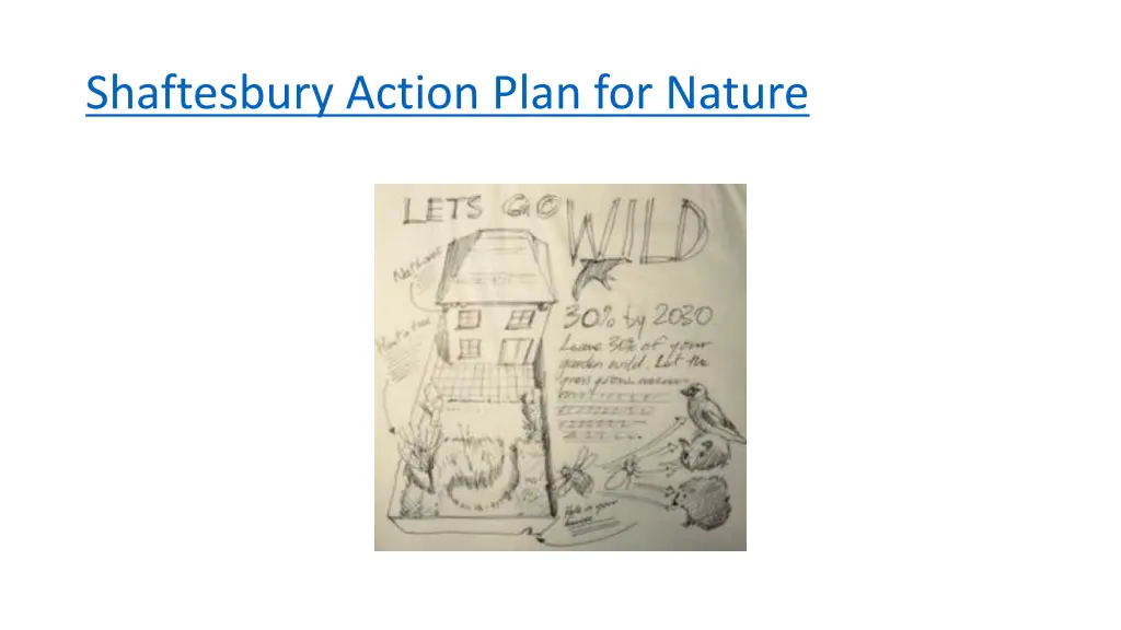 shaftesbury action plan for nature