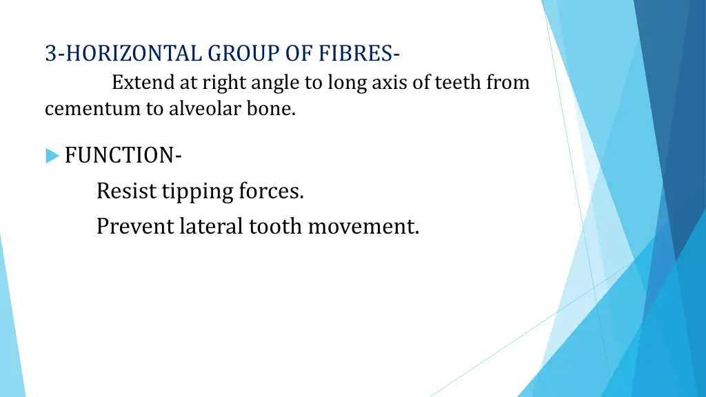 3 horizontal group of fibres extend at right