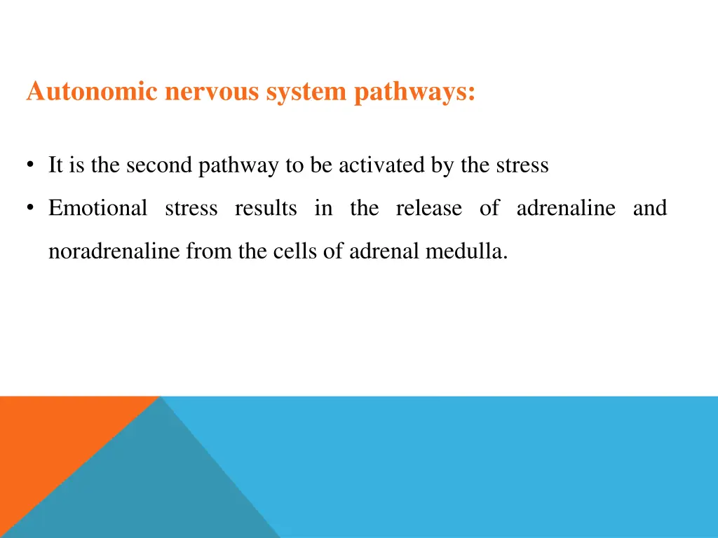 autonomic nervous system pathways