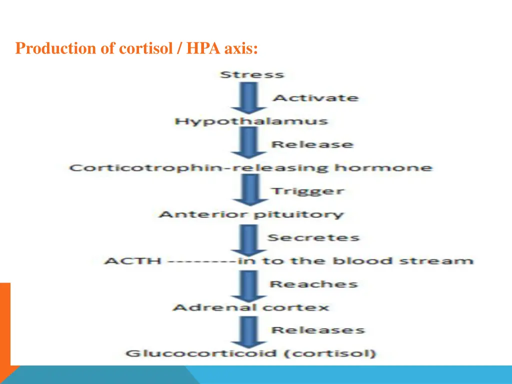 production of cortisol hpa axis