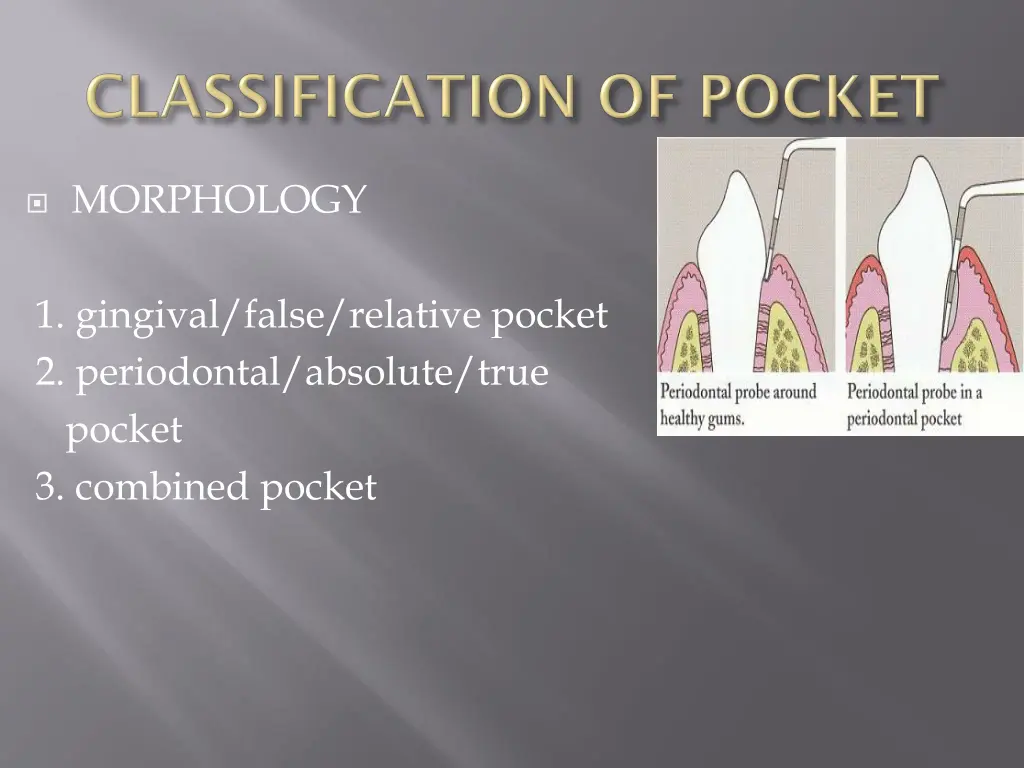 morphology