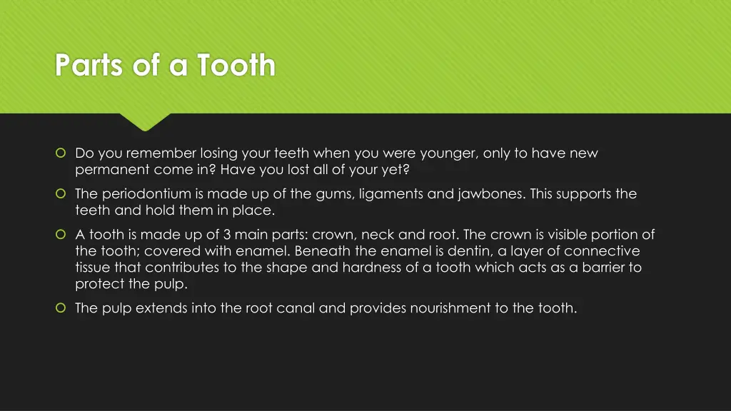 parts of a tooth