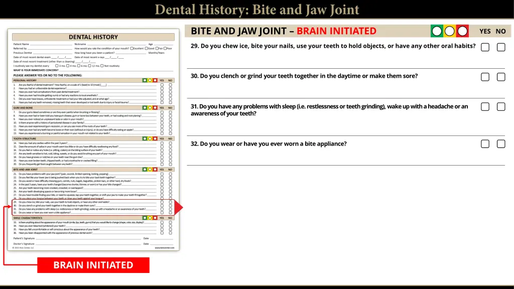 bite and jaw joint brain initiated