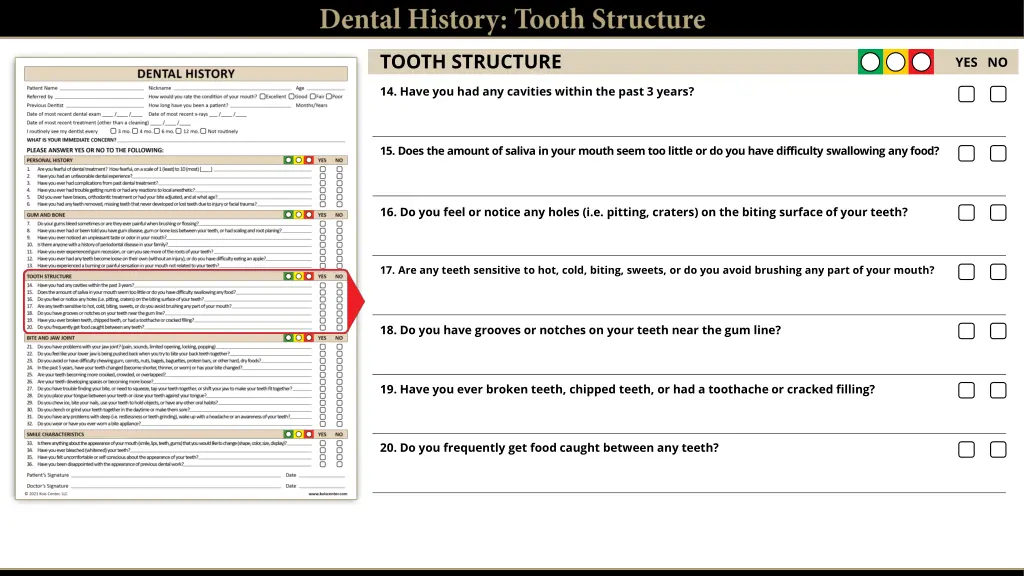 tooth structure