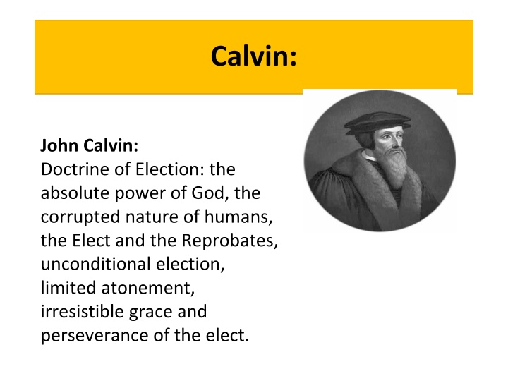 calvin