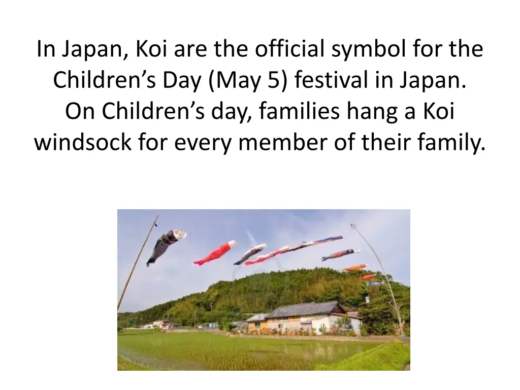 in japan koi are the official symbol