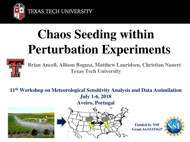 chaos seeding within perturbation experiments