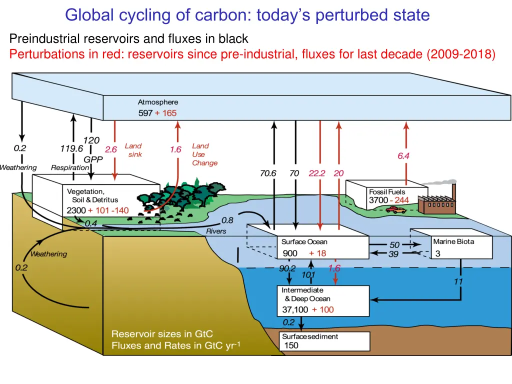 global cycling of carbon today s perturbed state