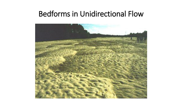 bedforms bedforms in unidirectional flow