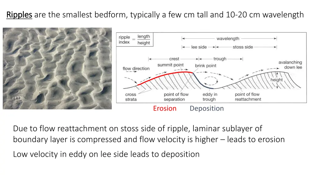 ripples ripples are the smallest bedform